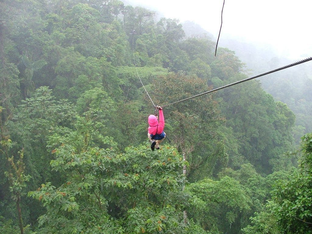 Zipline over the Costa Rican canopy